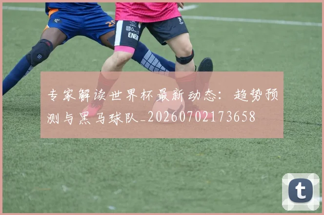 专家解读世界杯最新动态：趋势预测与黑马球队_20260702173658