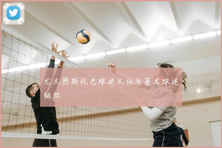 尤文图斯死忠球迷文化与著名球迷组织
